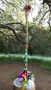 may pole beltaine